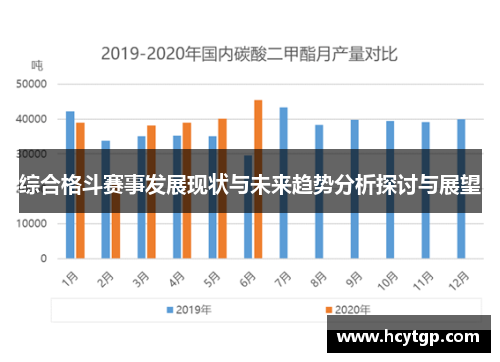 综合格斗赛事发展现状与未来趋势分析探讨与展望